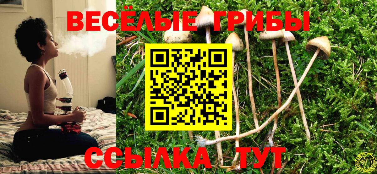 Галлюциногенные грибы ЛСД Сарапул